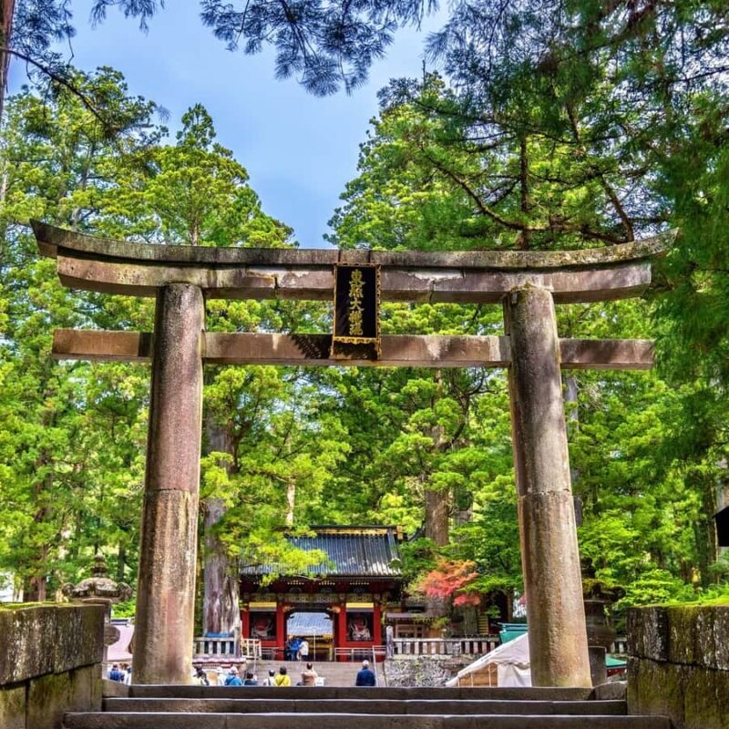 Nikko: Birdwatching Tour with Shrine and Temple Visit - FAQ