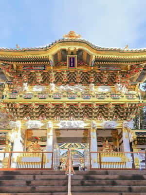 Nikko Day Tour from Tokyo with English Speaking Driver - Who Will Love This Tour?