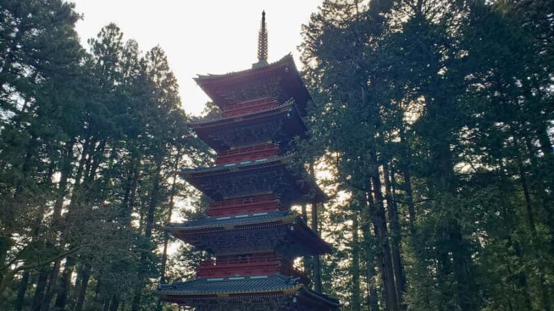 Nikko Full-Day Private Tour from Tokyo (Customizable) - Authentic Experiences from Recent Guests