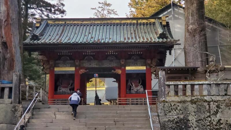 Nikko Full-Day Private Tour from Tokyo (Customizable) - Who Should Book This Tour?