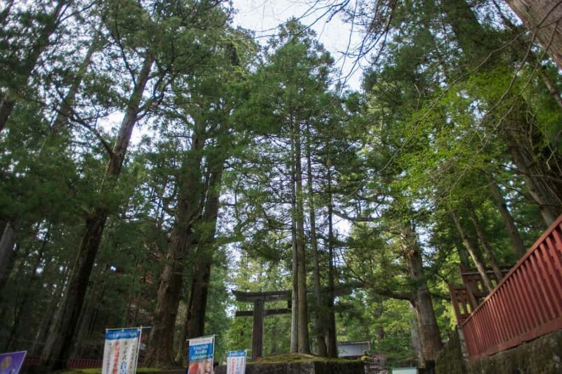 Nikko: Full-Day Private Tour with Local Lunch & Hotel Pickup - Transportation & Timing