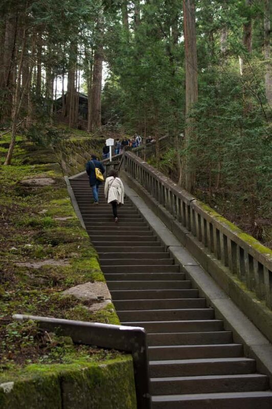 Nikko: Full-Day Private Tour with Local Lunch & Hotel Pickup - Who Would Love This Tour?