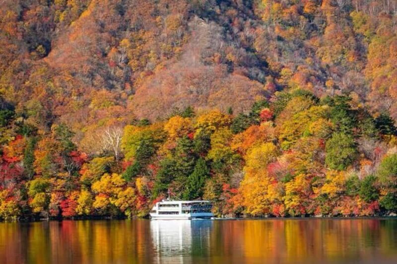 Nikko Full-Day Tour from Tokyo  UNESCO Shrine & Kegon Falls - Key Points