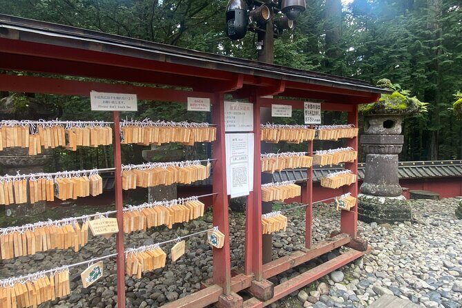 Nikko, Kegon Waterfall & Chuzenji Lake from Tokyo - Who Is This Tour Best For?