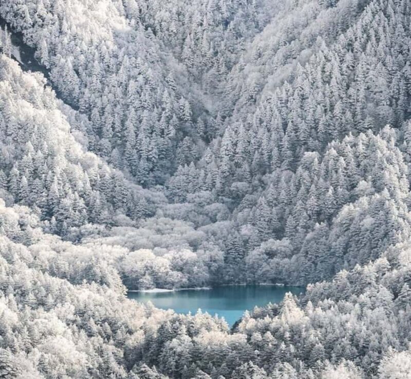 Nikko: Nagano Private Full-Day Tour with Guide - Summary: Who Should Consider This Tour?