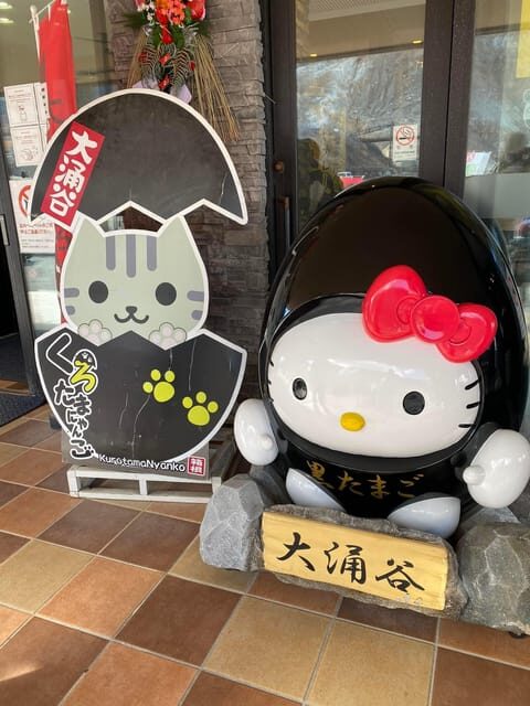 Nikko Private Day Tour with English Speaking Expert Driver - Exploring the Highlights of the Nikko Private Day Tour