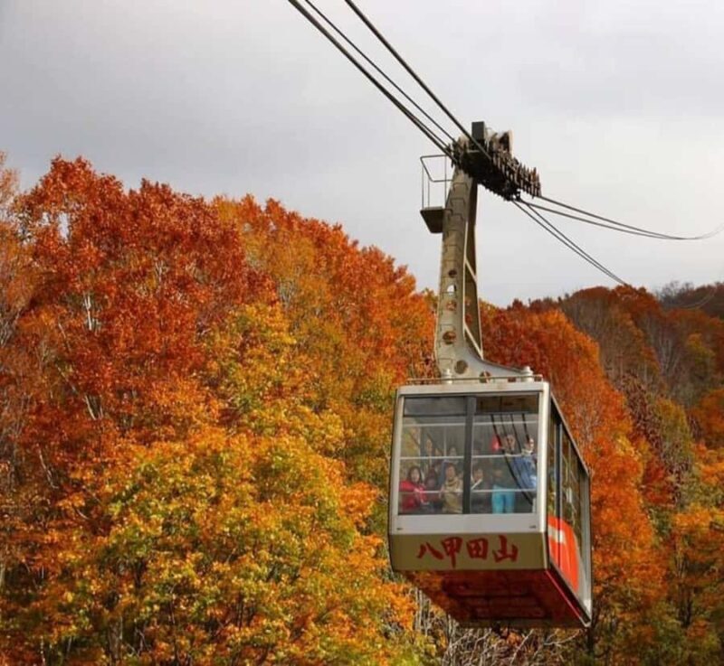 Nikko: Private Hakone Nature & Culture Day Trip - Key Points