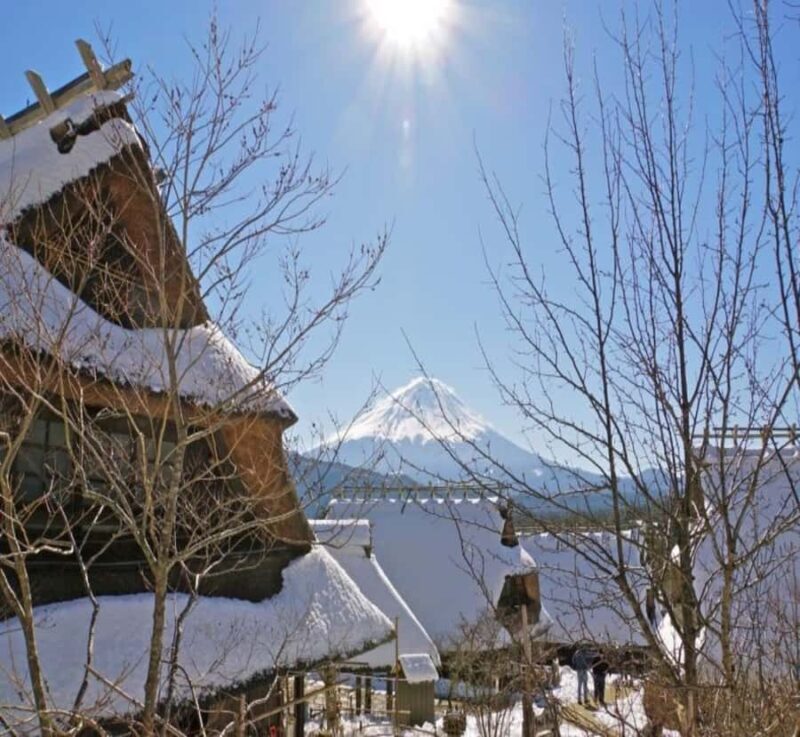 Nikko: Private Mount Fuji Day Trip with Hotel Pickup - Key Points