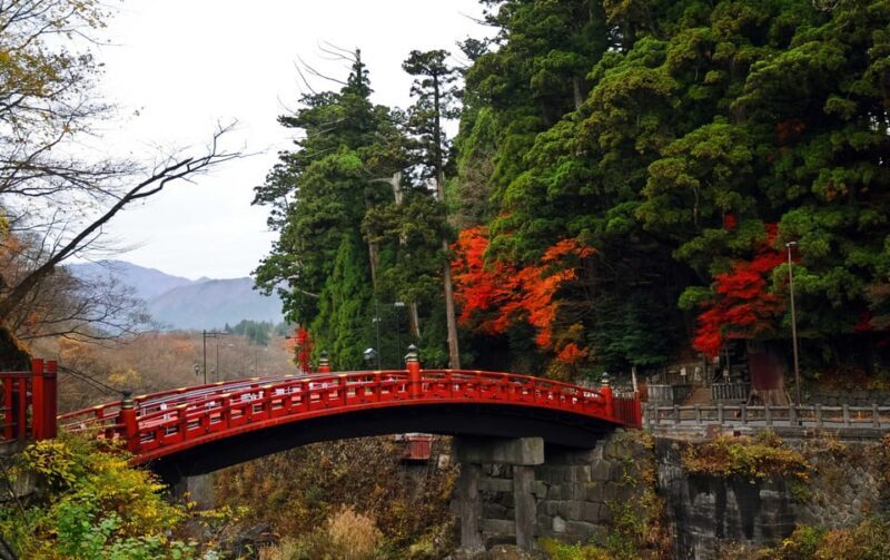 Nikko: Private Sightseeing Day Tour with Driver & Transport - A Detailed Look at What You Can Expect