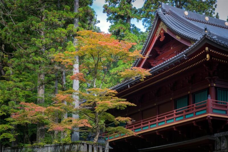 Nikko: Private Sightseeing Day Tour with Driver & Transport - Who Would Love This Tour?
