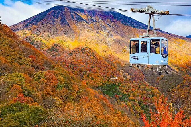 Nikko Private Tour With English Speaking Guide - In The Sum Up