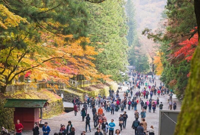 Nikko World Heritage Tour With English Drivers - Exploring Nikko: A Balance of Culture and Nature