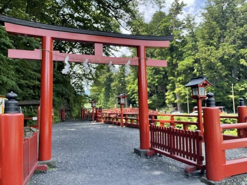 Nikko's Majestic Landscapes: Private Guided Tour - FAQ