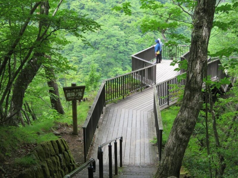 Nikko's Majestic Landscapes: Private Guided Tour - Final Thoughts