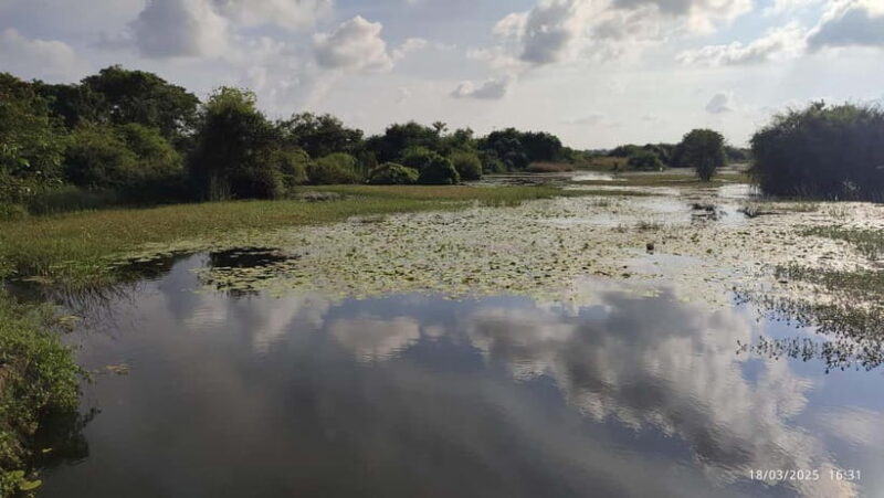 Nilaveli: Crocodile Lake with Lagoon Boat Safari - What’s Included and What’s Not