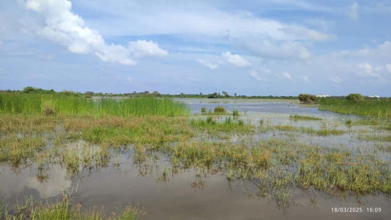 Nilaveli: Crocodile Lake with Lagoon Boat Safari - Who Should Consider This Tour?