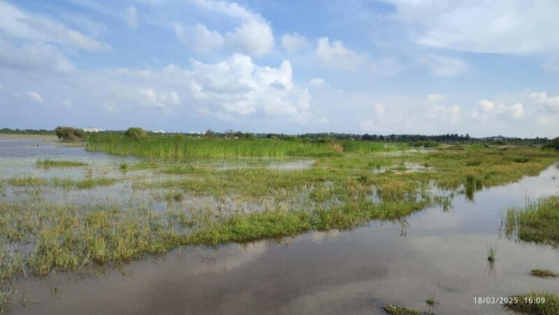 Nilaveli: Crocodile Lake with Lagoon Boat Safari - Final Thoughts