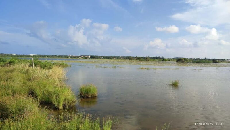 Nilaveli: Crocodile Lake with Lagoon Boat Safari - FAQ