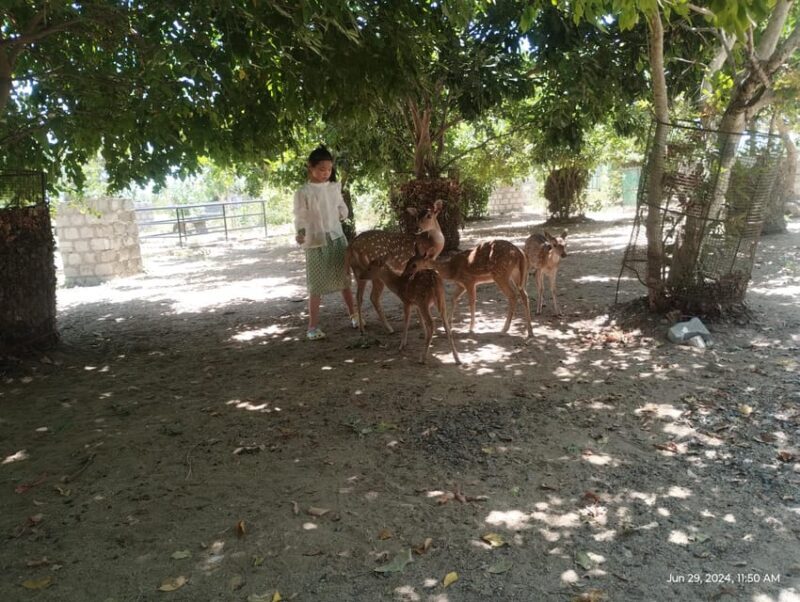 Nilaveli: Trinco City tour by Tuk Tuk - The Sum Up: Who Will Love This Tour?