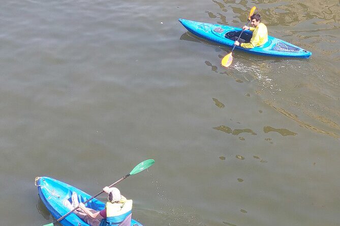 Nile River Kayaking in Cairo with Instructor - Authentic Insights from Reviewers