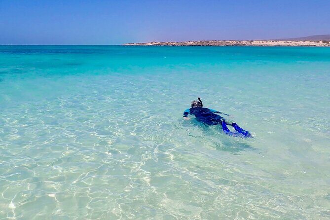 Ningaloo In A Full day Hike and Snorkel Tour - Practical Considerations