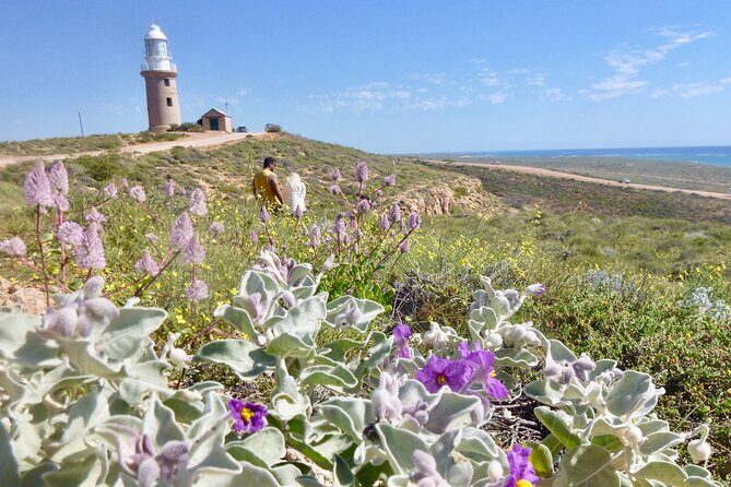 Ningaloo In A Full day Hike and Snorkel Tour - The Sum Up