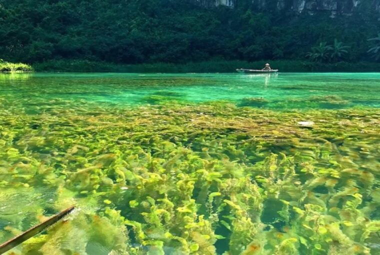 ninh-binh-1-day-tour-bai-dinh-trang-an-mua-cave-small-group