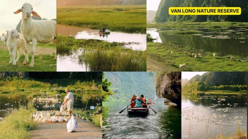 Ninh Binh: 2-hour Cooking Class & 4-hour Jeep Adventure - Key Points