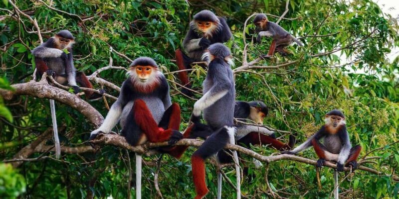 Ninh Binh: 2Day Trang An, Bai Dinh, Cuc Phuong National Park - Who Is This Tour Best For?