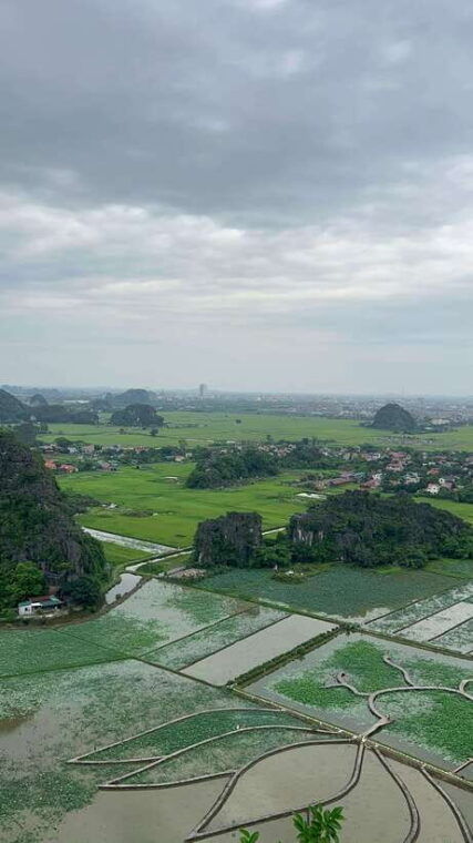 ninh-binh-and-cuc-phuong-national-park-2-day-private-tour