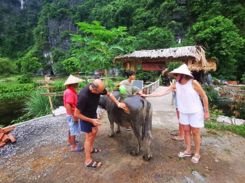 Ninh Binh : Countryside Tour by Motorcycle - Buffalow Riding - Key Points