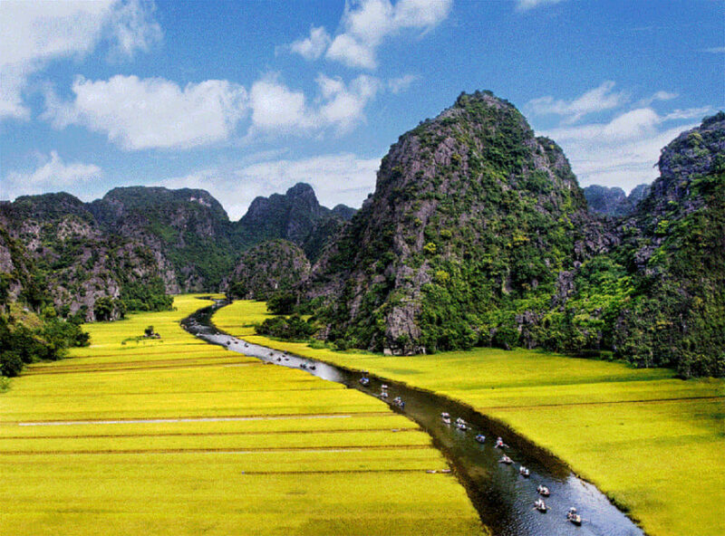 Ninh Binh : Countryside Tour by Motorcycle - Buffalow Riding - The Experience of the Guides and Group Dynamics