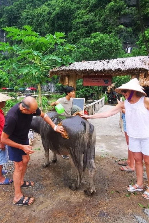 ninh-binh-countryside-tour-by-motorcycle-buffalow-riding