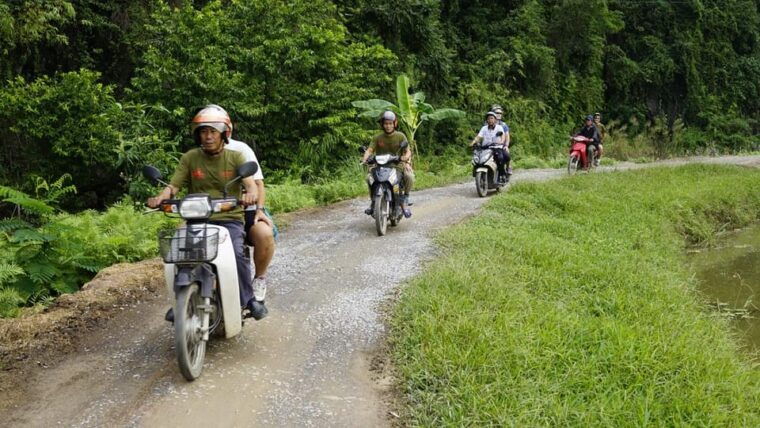 ninh-binh-countryside-tour-by-motorcycle-buffalow-riding