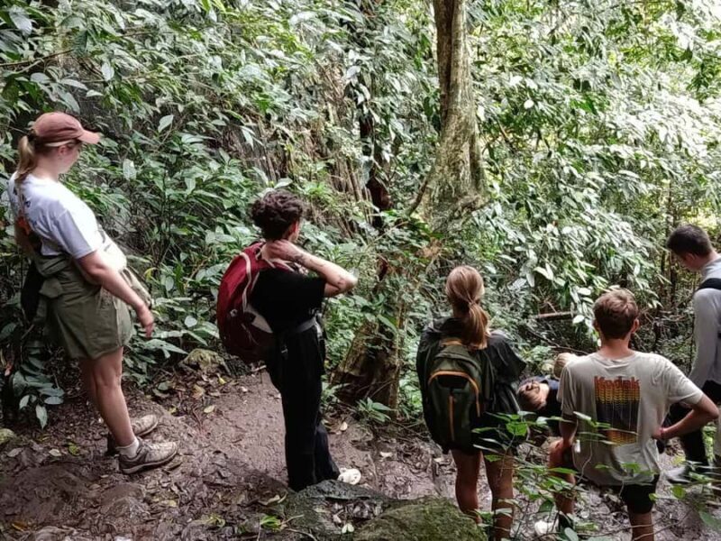 Ninh Binh: Cuc Phuong Jungle Hike & Wildlife Day Tours - Practicalities and Tips