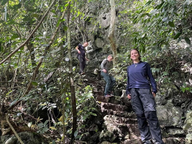 Ninh Binh: Cuc Phuong Jungle Hike & Wildlife Day Trip - Trekking Through the Lush Rainforest