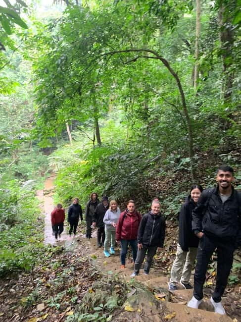 Ninh Binh: Cuc Phuong Jungle Hike & Wildlife Day Trip - The Picnic Lunch in Nature