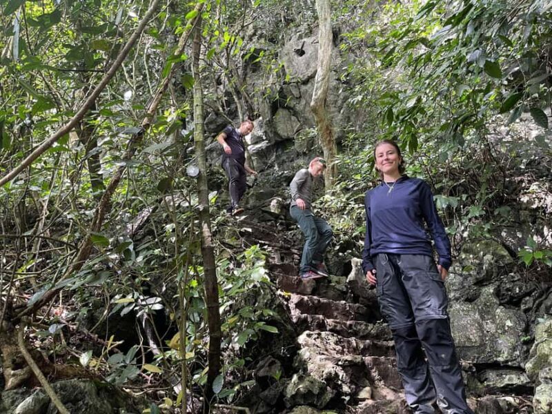 Ninh Binh: Cuc Phuong Jungle Trek, Wildlife & Ancient Caves - An In-Depth Look at the Cuc Phuong Jungle Trek Experience