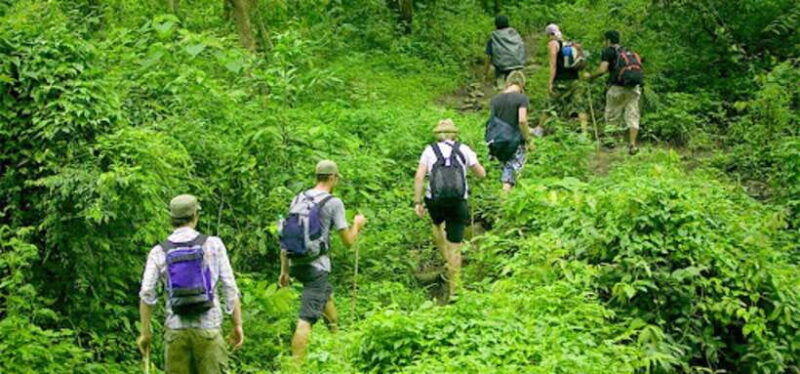 ninh-binh-cuc-phuong-national-park-1-day-small-group