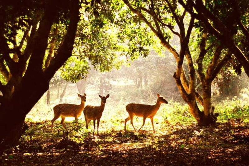 ninh-binh-cuc-phuong-national-park-1-day-small-group