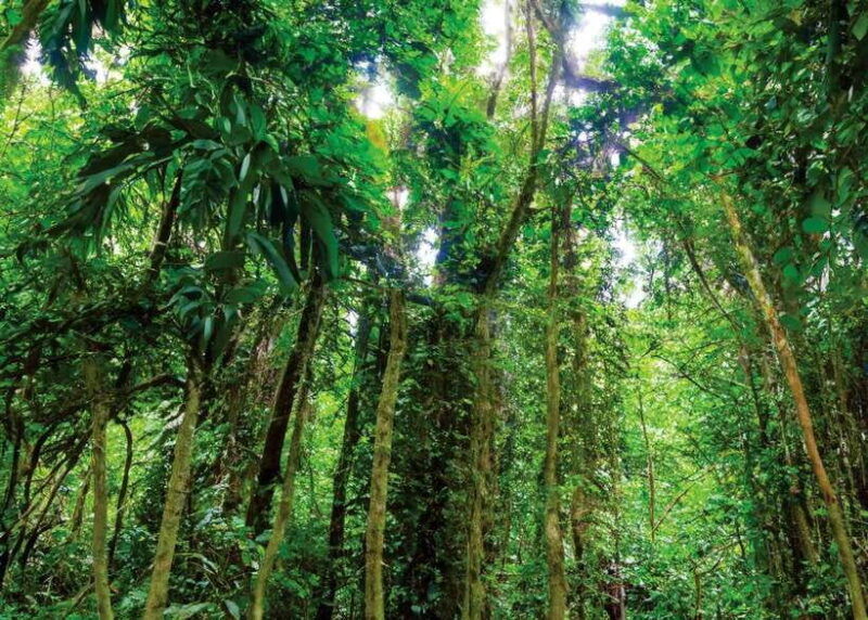 ninh-binh-cuc-phuong-national-park-day-trip-with-lunch