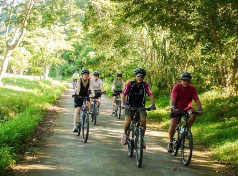 ninh-binh-cuc-phuong-national-park-day-trip-with-lunch