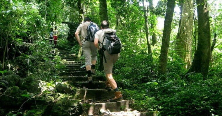 ninh-binh-cuc-phuong-national-park-day-trip-with-lunch