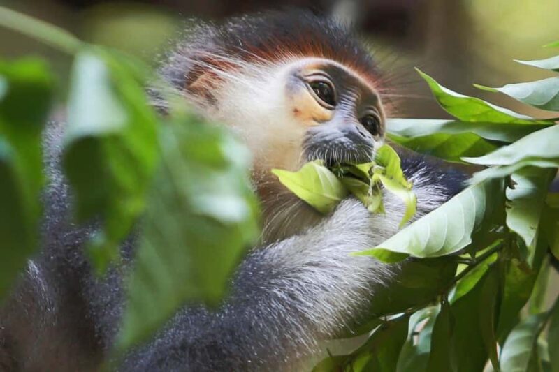 Ninh Binh: Cuc Phuong National Park, Jungle Hike & Wildlife - Who Is This Tour Best For?