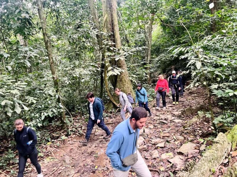 Ninh Binh: Cuc Phuong National Park, Jungle Hike & Wildlife - FAQ