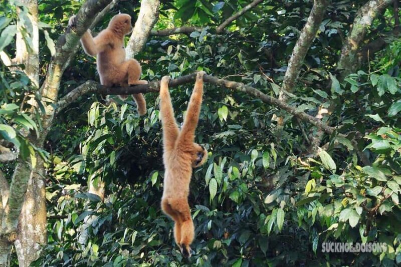 Ninh Binh: CUC PHUONG Park Jungle Hike Day Tour, SMALL GROUP - Who Would Love This Tour?
