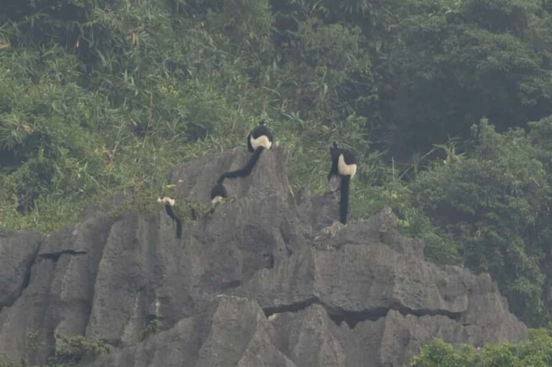 Ninh Binh: CUC PHUONG Park Jungle Hike Day Tour, SMALL GROUP - FAQ