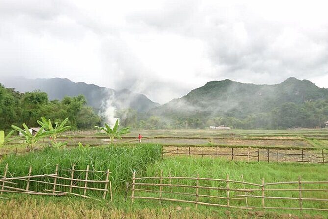 Ninh Binh Daily Tour All-Inclusive Bus, Guide, Lunch & Activities - Practical Insights and Tips