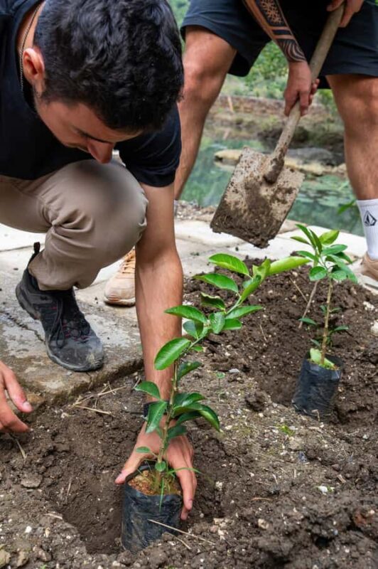 Ninh Binh: Dundj Valley Tree Planting & Nature Experience - Exploring the Itinerary in Detail