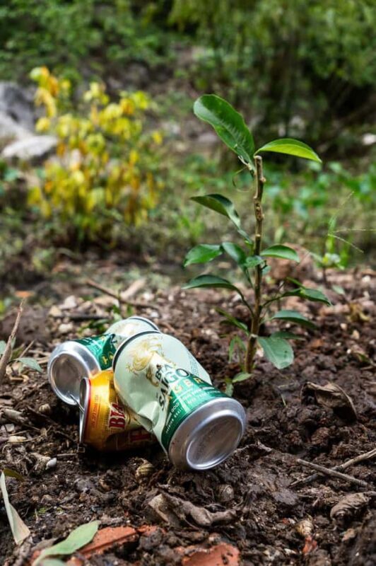 Ninh Binh: Dundj Valley Tree Planting & Nature Experience - FAQ